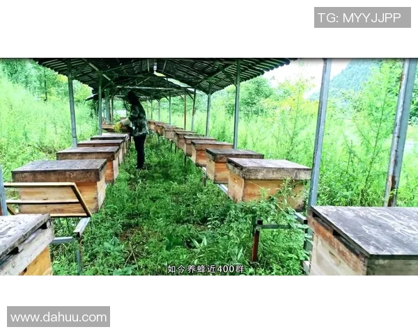 杭州网球队的反击之道：深度解析网球战术与训练策略