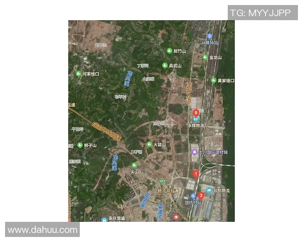 重庆乒乓球队灵活性深度对比分析与发展潜力探讨